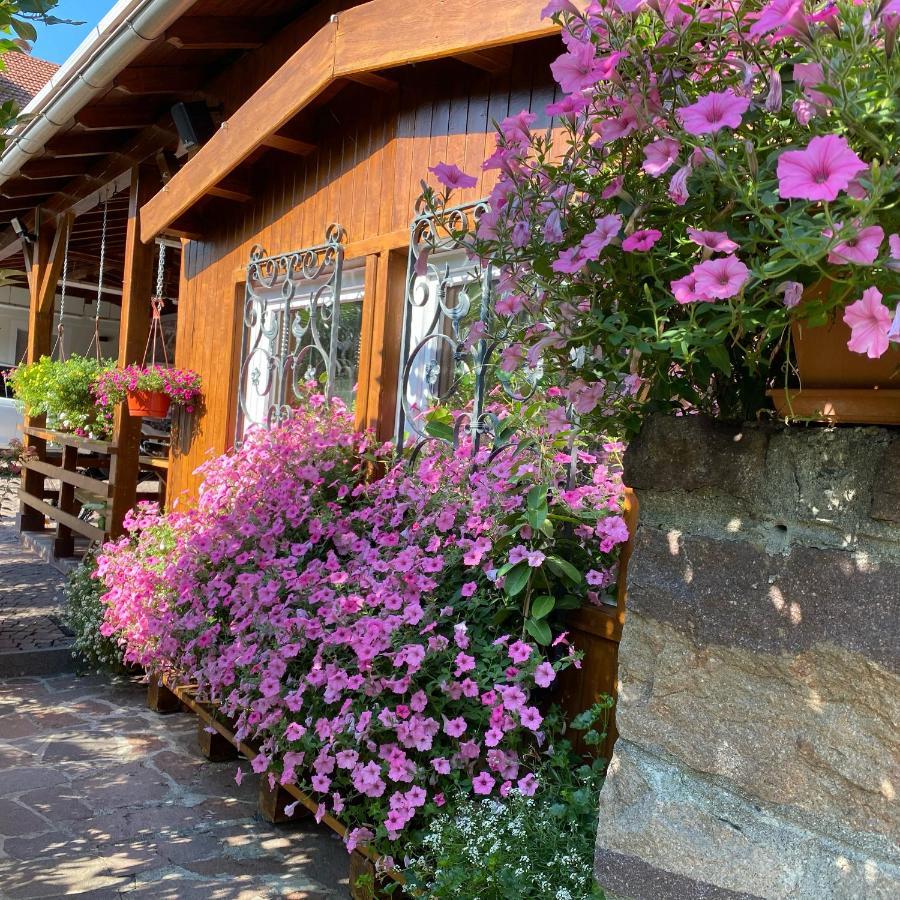 Garni San Paolo Hotel Appiano Sulla Strada Del Vino Exterior foto