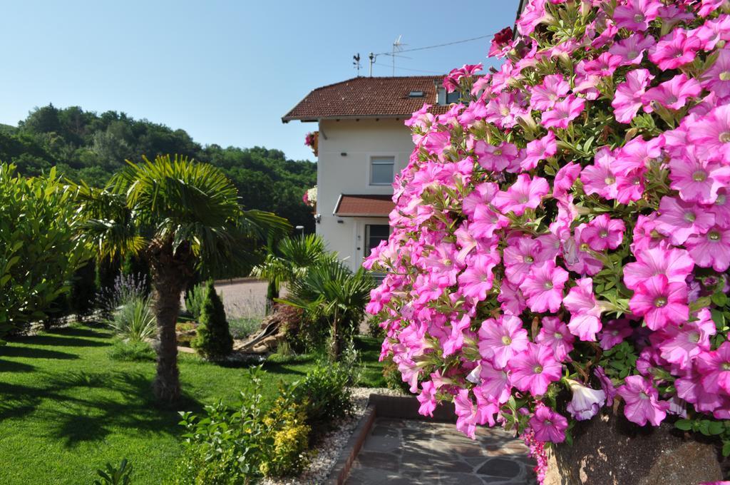 Garni San Paolo Hotel Appiano Sulla Strada Del Vino Exterior foto