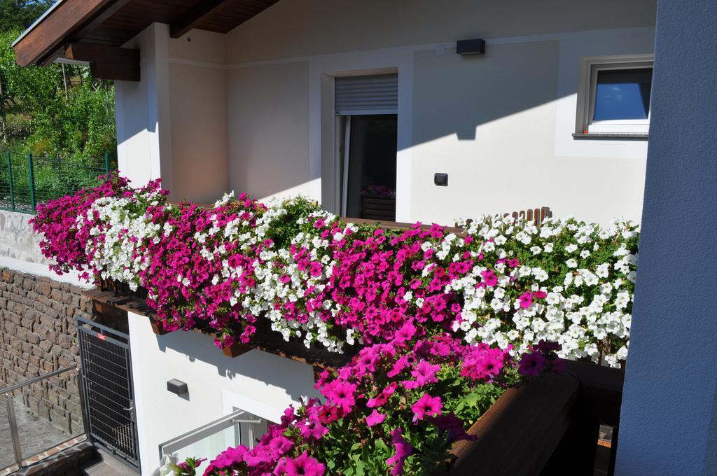 Garni San Paolo Hotel Appiano Sulla Strada Del Vino Exterior foto