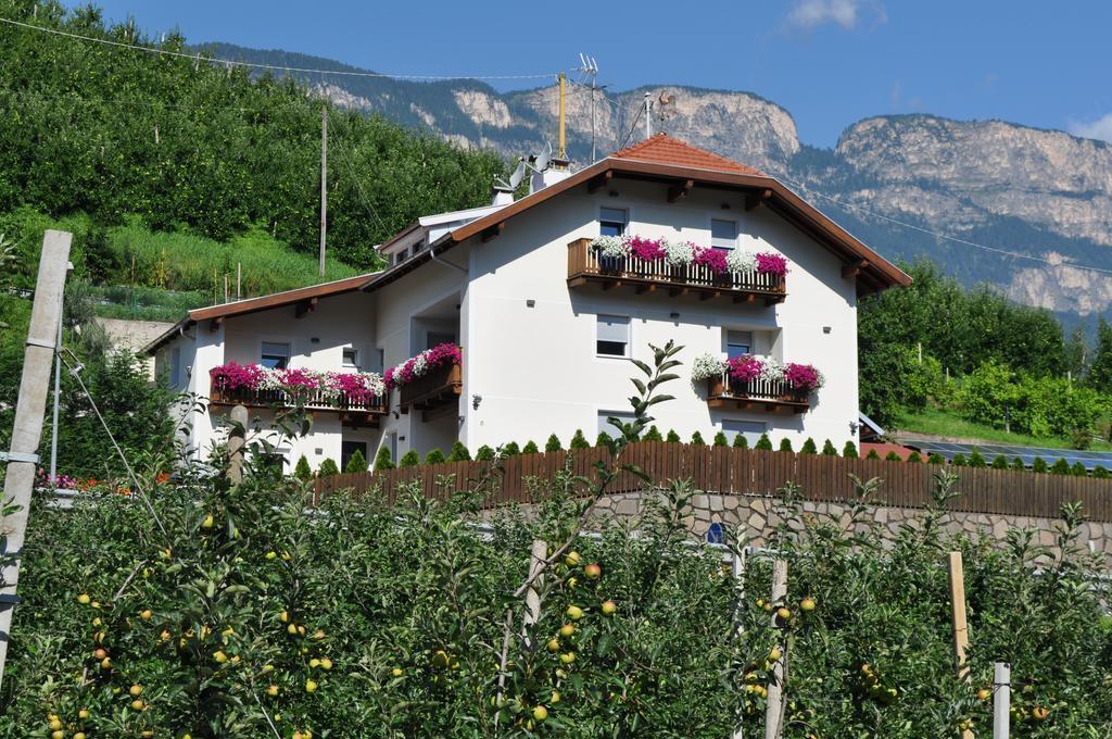 Garni San Paolo Hotel Appiano Sulla Strada Del Vino Exterior foto