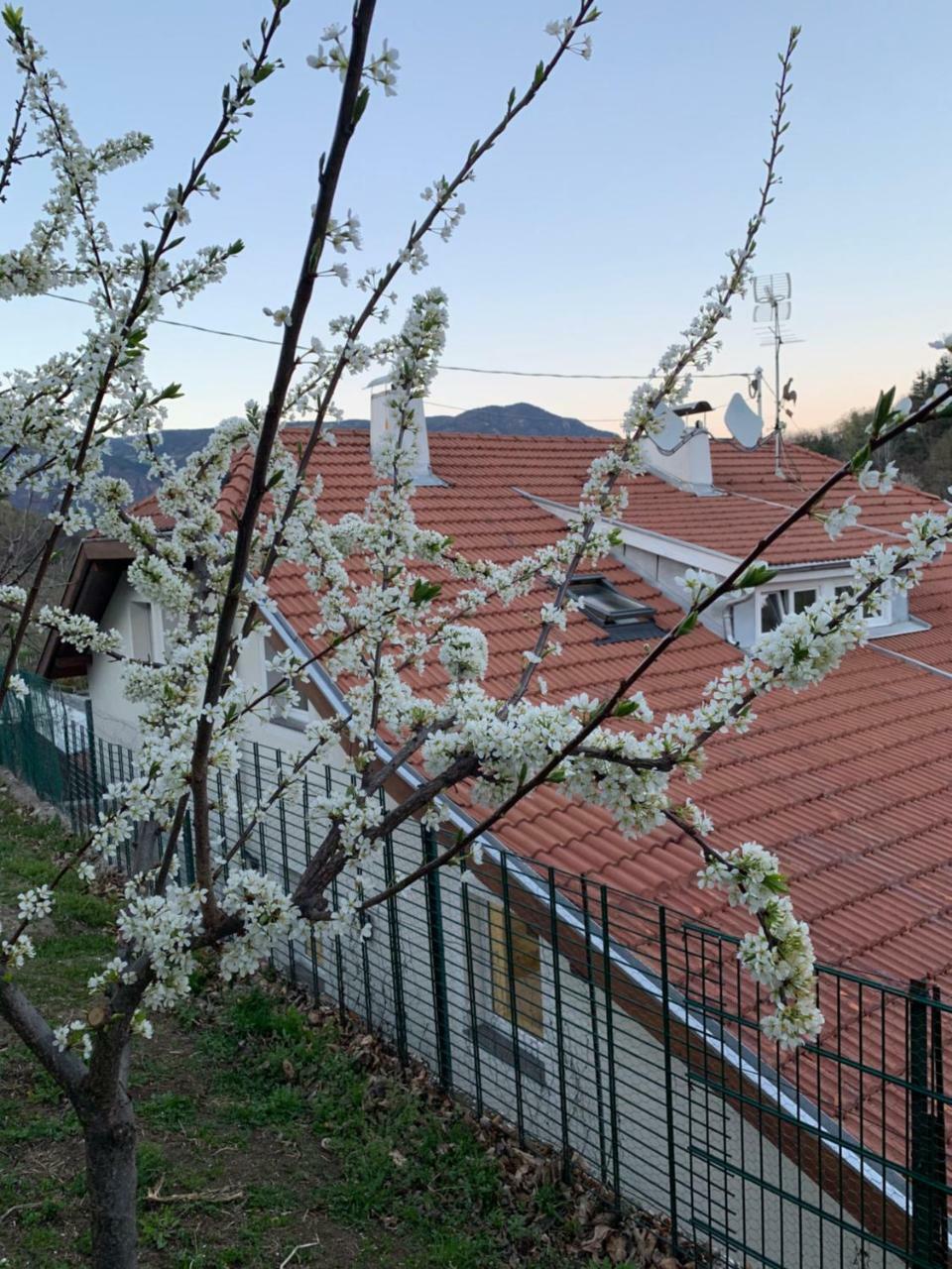 Garni San Paolo Hotel Appiano Sulla Strada Del Vino Exterior foto