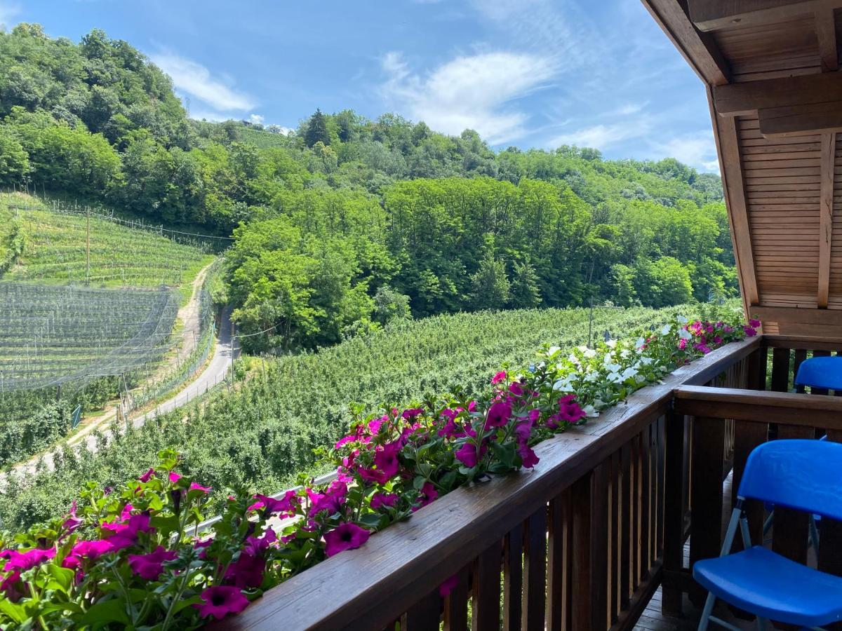 Garni San Paolo Hotel Appiano Sulla Strada Del Vino Exterior foto