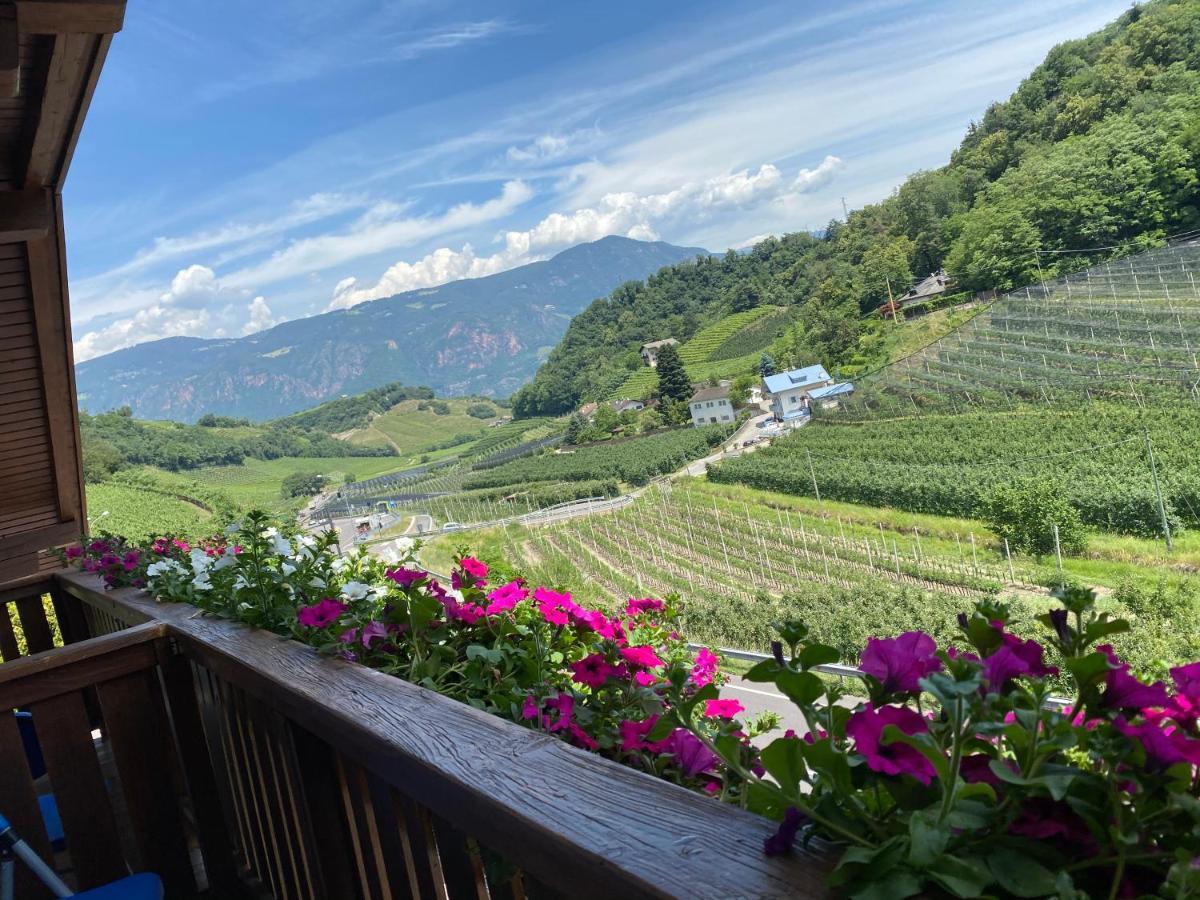 Garni San Paolo Hotel Appiano Sulla Strada Del Vino Exterior foto